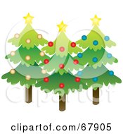 Poster, Art Print Of Three Evergreen Christmas Trees With Stars And Ornaments