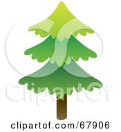 Poster, Art Print Of Single Tall Evergreen Tree