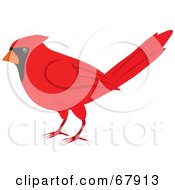 Royalty Free RF Clipart Illustration Of A Red Cardinal Bird by Rosie Piter
