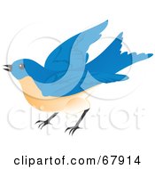 Royalty Free RF Clipart Illustration Of A Blue Bird Preparing To Fly Away