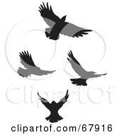 Poster, Art Print Of Digital Collage Of Black Flying Bird Silhouettes