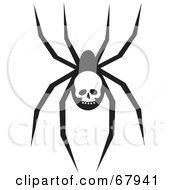 Poster, Art Print Of Creepy Black Spider With A Skull Marking
