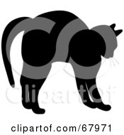 Poster, Art Print Of Silhouette Of A Cat Stretching In Black
