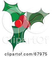 Poster, Art Print Of Green Christmas Holly With Three Leaves And Three Red Berries