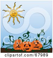 Poster, Art Print Of Sun Shining Down On Jackolanterns In A Pumpkin Patch