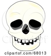 Poster, Art Print Of Spooky White Human Skull With Black Eye Sockets