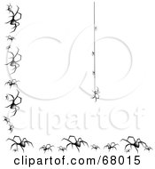 Poster, Art Print Of Creepy Spider Hanging Down On A String With A Border Of Black Widows