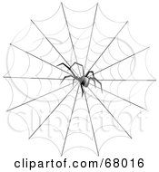 Poster, Art Print Of Creepy Black Widow Spider In The Center Of A Web