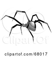 Creepy Black Widow Spider Walking Away