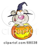 Poster, Art Print Of Happy Mouse In A Carved Halloween Pumpkin