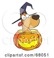 Poster, Art Print Of Happy Dog In A Carved Halloween Pumpkin