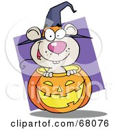 Poster, Art Print Of Happy Mouse Popping Out Of A Carved Halloween Pumpkin On Purple