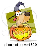 Poster, Art Print Of Happy Dog Popping Out Of A Carved Halloween Pumpkin On Green