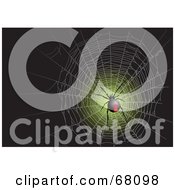 Royalty Free RF Clipart Illustration Of A Black Widow Spider In A Web On Green And Black