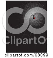Poster, Art Print Of Black Widow Spider In A Web On Black