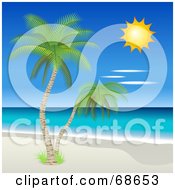 Poster, Art Print Of Sun Shining Down On Tropical Palm Trees And A Beach