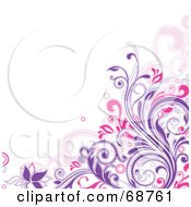 Royalty Free RF Clipart Illustration Of A White Background With A Purple And Pink Floral Vine Corner