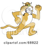 Bobcat Character Running by Mascot Junction