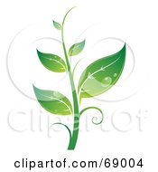 Poster, Art Print Of Dewy Green Organic Seedling Plant