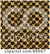 Poster, Art Print Of Tan Leopard Print Background With Black Rosettes