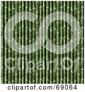 Green Bamboo Textured Background