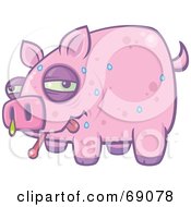 Poster, Art Print Of Sweating And Snotting Pink Pig With The Swine Flu