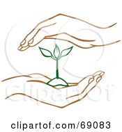Royalty Free RF Clipart Illustration Of A Pair Of Human Hands Protecting A Green Seedling Plant by Cherie Reve