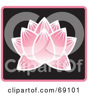 Poster, Art Print Of Beautiful Pink Lotus Flower On Black With Blue Trim