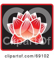 Poster, Art Print Of Beautiful Red Lotus Flower On Black With Blue Trim