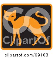 Poster, Art Print Of Orange Cat On Black