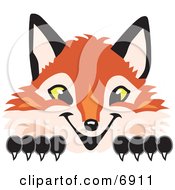 Clipart Picture Of A Fox Mascot Cartoon Character Peeking