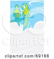 Poster, Art Print Of Two Parrots Perched Above A Cloud In A Blue Sky