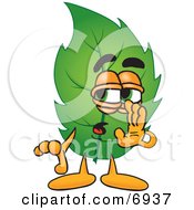Leaf Mascot Cartoon Character Whispering And Gossiping