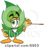 Poster, Art Print Of Leaf Mascot Cartoon Character Using A Pointer Stick