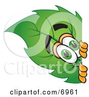 Clipart Picture Of A Leaf Mascot Cartoon Character Peeking Around A Corner by Toons4Biz