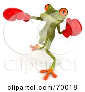 3d Green Tree Frog Boxing Version 2 by Julos
