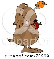 Royalty Free RF Clipart Illustration Of A Brown Dog Comparing An Apple And Orange