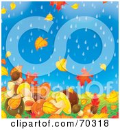 Poster, Art Print Of Background Of Falling Autumn Leaves And Mushrooms On A Rainy Day