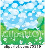 Poster, Art Print Of Background Of White Daisies In A Green Field Under A Cloudy Sky