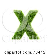 Poster, Art Print Of Grassy 3d Green Symbol Capital X