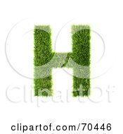 Poster, Art Print Of Grassy 3d Green Symbol Capital H