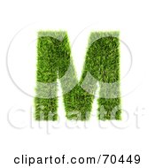 Poster, Art Print Of Grassy 3d Green Symbol Capital M