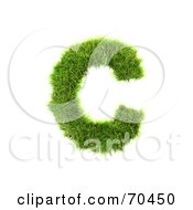 Poster, Art Print Of Grassy 3d Green Symbol Capital C