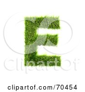 Poster, Art Print Of Grassy 3d Green Symbol Capital E