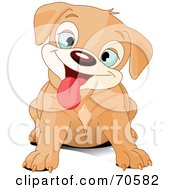 Poster, Art Print Of Cute Beige Puppy Dog Hanging Her Tongue Out