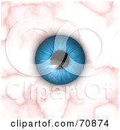 Poster, Art Print Of Blue Human Eyeball On A Pink And White Background