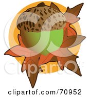 Poster, Art Print Of Green Acorn Over Orange Fall Leaves Over A Circle
