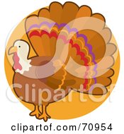 Poster, Art Print Of Thanksgiving Turkey Bird With His Tail Fanned
