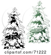 Poster, Art Print Of Evergreen Tree Flocked In Snow With A Black And White Copy - Version 2