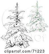 Poster, Art Print Of Evergreen Tree Flocked In Snow With A Black And White Copy - Version 3